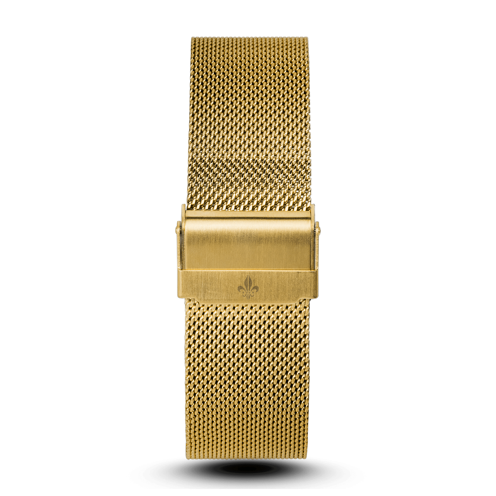 Gold Mesh Interchangeable Strap