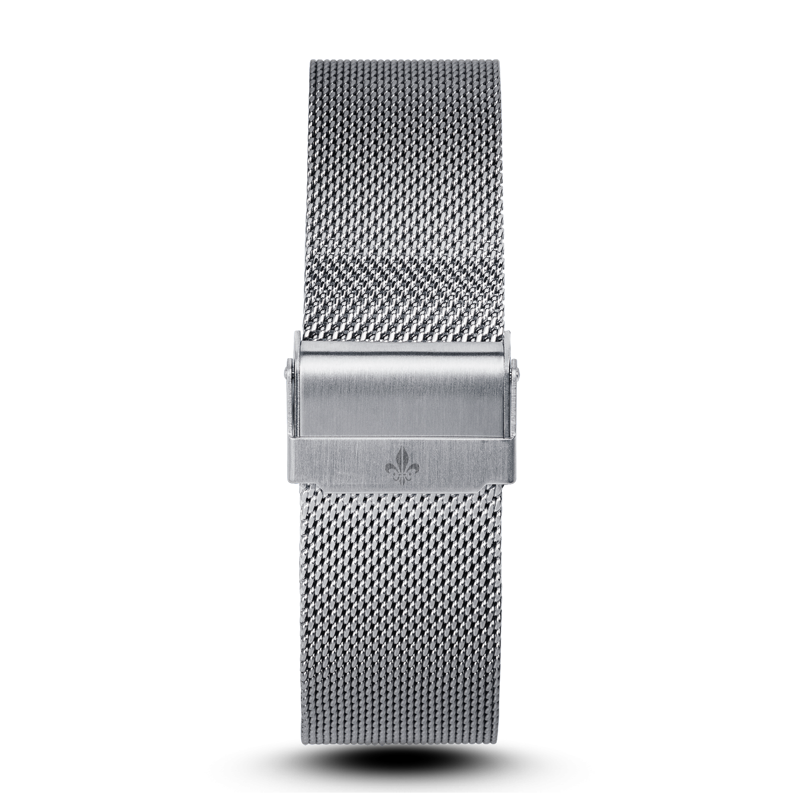 Silver Mesh Interchangeable Strap